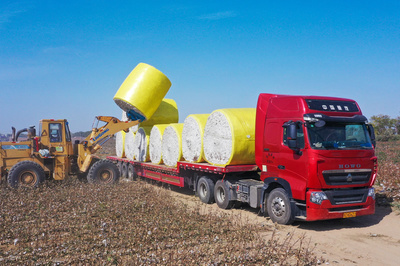 非凡十年 | 新疆生產(chǎn)建設(shè)兵團︰努力形成新時代兵團維穩(wěn)戍邊新優(yōu)勢